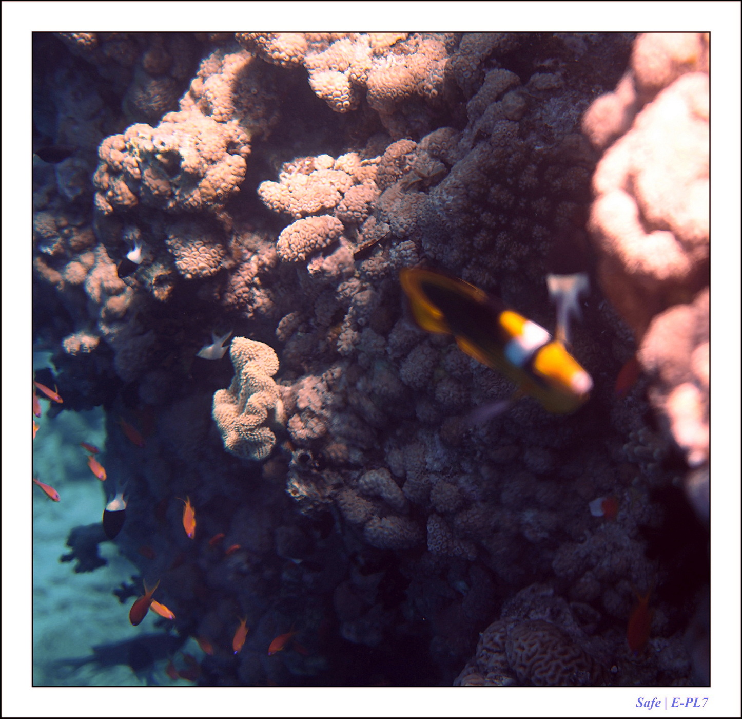 Hurghada - Juillet 2021 - 032